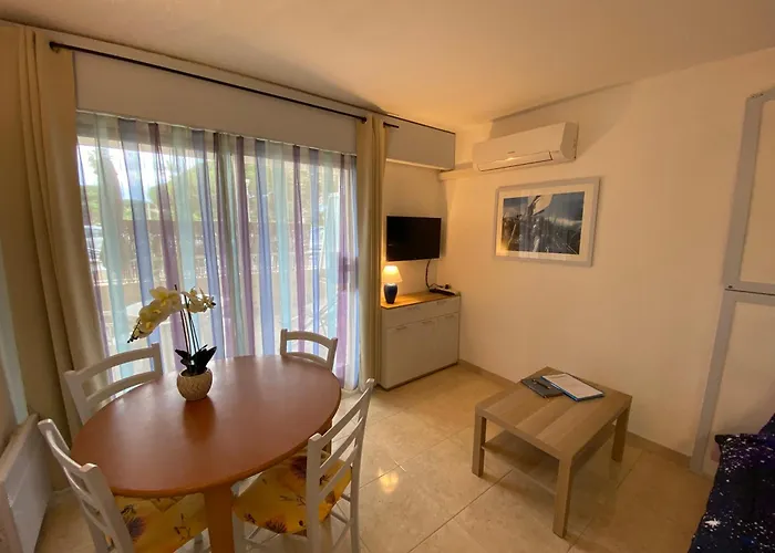 Joli Climatise Au Port De - Proche Plages Et Commerces - Linge De Maison Fourni Apartment *